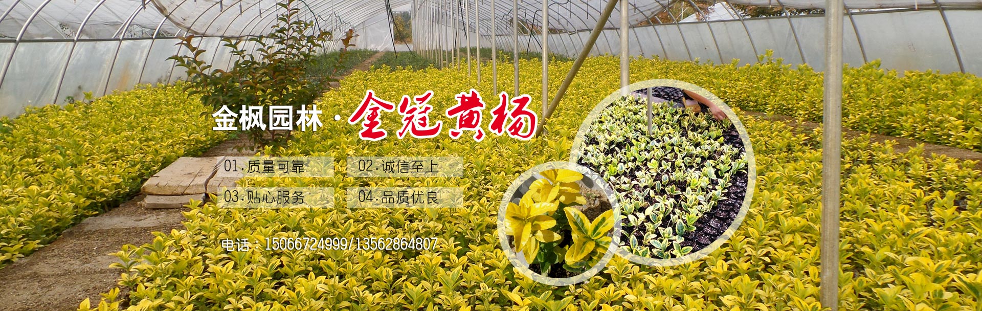 �����h(hu��n)����(ji��n)��